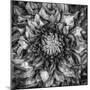 Dalia Full-Moises Levy-Mounted Photographic Print