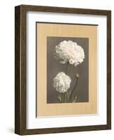 Dalie-Andrea Trivelli-Framed Art Print