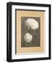 Dalie-Andrea Trivelli-Framed Art Print