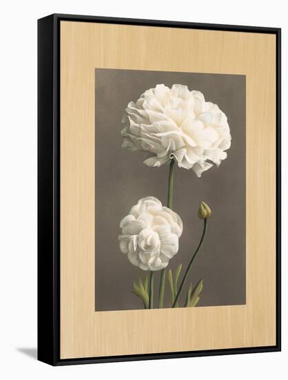 Dalie-Andrea Trivelli-Framed Stretched Canvas