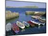 Dalkey Island and Coliemore Harbour, Dublin, Ireland, Europe-Firecrest Pictures-Mounted Photographic Print