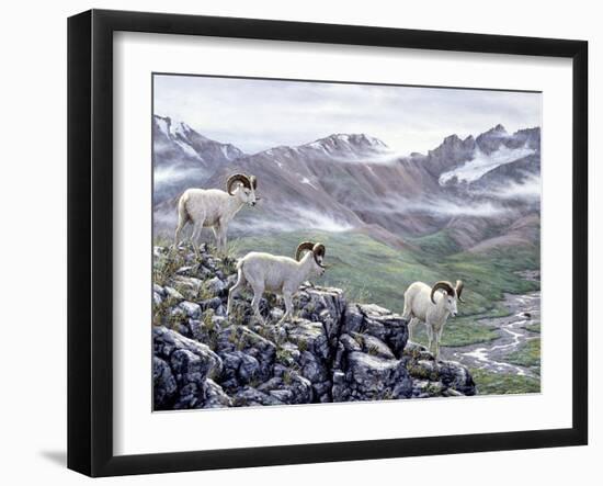 Dall Sheep at Denali-Jeff Tift-Framed Premium Giclee Print