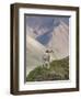 Dall Sheep Rams, Denali National Park, Alaska, USA-Hugh Rose-Framed Premium Photographic Print