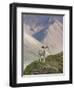 Dall Sheep Rams, Denali National Park, Alaska, USA-Hugh Rose-Framed Premium Photographic Print