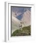 Dall Sheep Rams, Denali National Park, Alaska, USA-Hugh Rose-Framed Premium Photographic Print