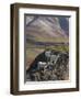 Dall Sheep Rams, Denali National Park, Alaska, USA-Hugh Rose-Framed Premium Photographic Print