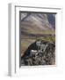 Dall Sheep Rams, Denali National Park, Alaska, USA-Hugh Rose-Framed Premium Photographic Print