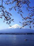 Cherry Blossom with Mount Fuji and Lake Kawaguchi in Background, Fuji-Hakone-Izu National Park, Jap-Dallas and John Heaton-Photographic Print