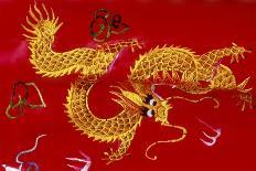Chinese Dragon, Shenzen, China-Dallas and John Heaton-Photographic Print