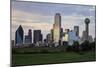 Dallas City Skyline and the Reunion Tower, Texas, United States of America, North America-Gavin-Mounted Photographic Print