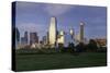 Dallas Cty Skyline and the Reunion Tower, Texas, United States of America, North America-Gavin-Stretched Canvas