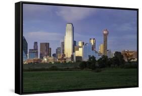 Dallas Cty Skyline and the Reunion Tower, Texas, United States of America, North America-Gavin-Framed Stretched Canvas