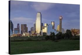 Dallas Cty Skyline and the Reunion Tower, Texas, United States of America, North America-Gavin-Stretched Canvas