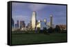 Dallas Cty Skyline and the Reunion Tower, Texas, United States of America, North America-Gavin-Framed Stretched Canvas