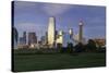 Dallas Cty Skyline and the Reunion Tower, Texas, United States of America, North America-Gavin-Stretched Canvas