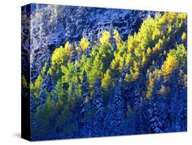 Dallas Divide, Uncompahgre National Forest, Colorado, USA-Art Wolfe-Stretched Canvas