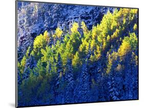 Dallas Divide, Uncompahgre National Forest, Colorado, USA-Art Wolfe-Mounted Photographic Print