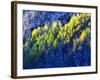 Dallas Divide, Uncompahgre National Forest, Colorado, USA-Art Wolfe-Framed Photographic Print