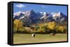Dallas Divide, Uncompahgre National Forest, Colorado-Donyanedomam-Framed Stretched Canvas