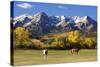 Dallas Divide, Uncompahgre National Forest, Colorado-Donyanedomam-Stretched Canvas