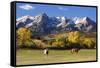 Dallas Divide, Uncompahgre National Forest, Colorado-Donyanedomam-Framed Stretched Canvas