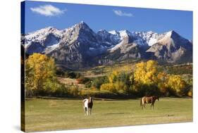 Dallas Divide, Uncompahgre National Forest, Colorado-Donyanedomam-Stretched Canvas