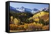 Dallas Divide, Uncompahgre National Forest, Colorado-Donyanedomam-Framed Stretched Canvas