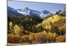 Dallas Divide, Uncompahgre National Forest, Colorado-Donyanedomam-Mounted Photographic Print