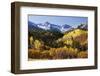 Dallas Divide, Uncompahgre National Forest, Colorado-Donyanedomam-Framed Photographic Print