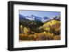 Dallas Divide, Uncompahgre National Forest, Colorado-Donyanedomam-Framed Photographic Print