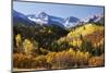 Dallas Divide, Uncompahgre National Forest, Colorado-Donyanedomam-Mounted Photographic Print