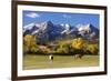 Dallas Divide, Uncompahgre National Forest, Colorado-Donyanedomam-Framed Photographic Print