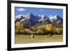 Dallas Divide, Uncompahgre National Forest, Colorado-Donyanedomam-Framed Photographic Print