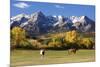 Dallas Divide, Uncompahgre National Forest, Colorado-Donyanedomam-Mounted Photographic Print