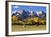 Dallas Divide, Uncompahgre National Forest, Colorado-Donyanedomam-Framed Photographic Print