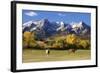 Dallas Divide, Uncompahgre National Forest, Colorado-Donyanedomam-Framed Photographic Print