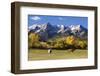 Dallas Divide, Uncompahgre National Forest, Colorado-Donyanedomam-Framed Photographic Print