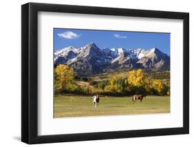 Dallas Divide, Uncompahgre National Forest, Colorado-Donyanedomam-Framed Photographic Print