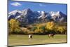 Dallas Divide, Uncompahgre National Forest, Colorado-Donyanedomam-Mounted Photographic Print