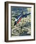 Dallas-Fort Worth Airport-Wilf Hardy-Framed Giclee Print