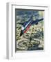 Dallas-Fort Worth Airport-Wilf Hardy-Framed Giclee Print