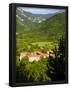 Essential Black
