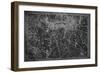 Dallas Map A-GI ArtLab-Framed Giclee Print