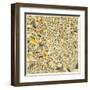 Dallas Map-Jazzberry Blue-Framed Art Print