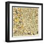 Dallas Map-Jazzberry Blue-Framed Art Print