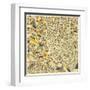 Dallas Map-Jazzberry Blue-Framed Art Print