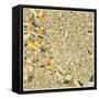 Dallas Map-Jazzberry Blue-Framed Stretched Canvas