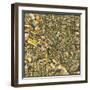 Dallas Map-Jazzberry Blue-Framed Art Print