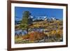 Dallas Mountain and San Juan Mountain Range in autumn, Colorado-Darrell Gulin-Framed Premium Photographic Print