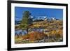 Dallas Mountain and San Juan Mountain Range in autumn, Colorado-Darrell Gulin-Framed Premium Photographic Print
